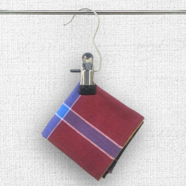Blue Checked Handkerchief